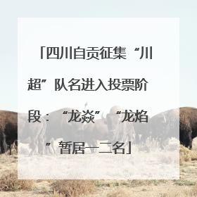 四川自贡征集“川超”队名进入投票阶段：“龙焱”“龙焰”暂居一二名
