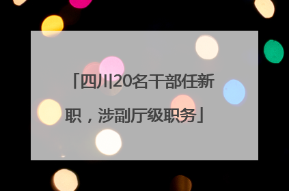 四川20名干部任新职，涉副厅级职务