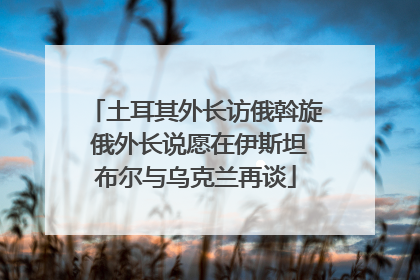 土耳其外长访俄斡旋 俄外长说愿在伊斯坦布尔与乌克兰再谈