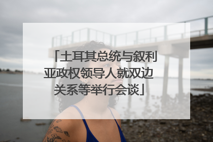 土耳其总统与叙利亚政权领导人就双边关系等举行会谈