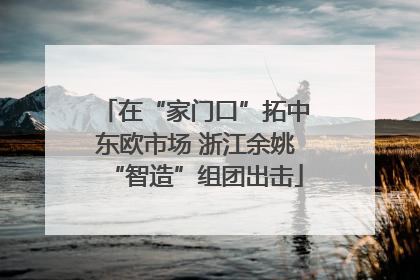 在“家门口”拓中东欧市场 浙江余姚“智造”组团出击