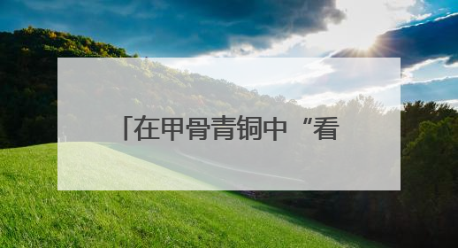 在甲骨青铜中“看见”殷商，一展纵览殷商文物精华