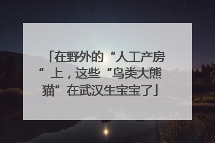 在野外的“人工产房”上，这些“鸟类大熊猫”在武汉生宝宝了