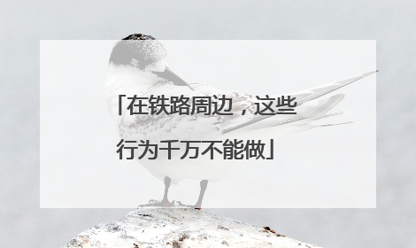 在铁路周边，这些行为千万不能做