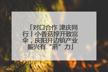对口合作 津庆同行丨小香菇撑开致富伞，庆阳开边镇产业振兴有“蘑”力