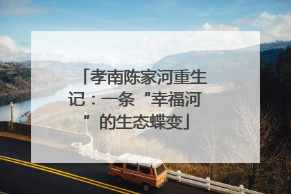 孝南陈家河重生记：一条“幸福河”的生态蝶变