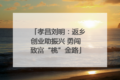 孝昌刘明：返乡创业助振兴 勇闯致富“桃”金路