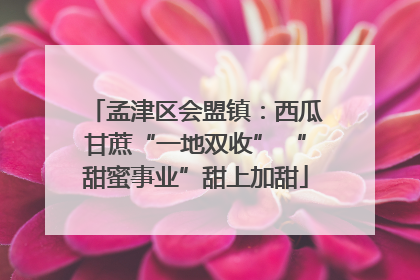 孟津区会盟镇：西瓜甘蔗“一地双收” “甜蜜事业”甜上加甜