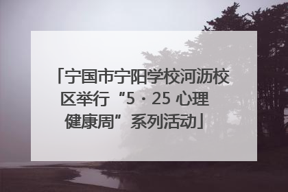 宁国市宁阳学校河沥校区举行“5・25 心理健康周”系列活动