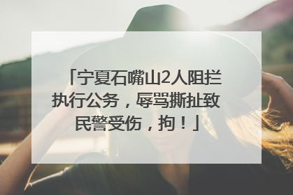 宁夏石嘴山2人阻拦执行公务，辱骂撕扯致民警受伤，拘！