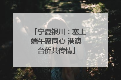 宁夏银川：塞上端午聚同心 港澳台侨共传情