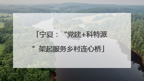 宁夏：“党建+科特派”架起服务乡村连心桥