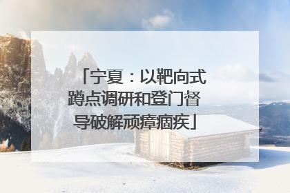 宁夏：以靶向式蹲点调研和登门督导破解顽瘴痼疾