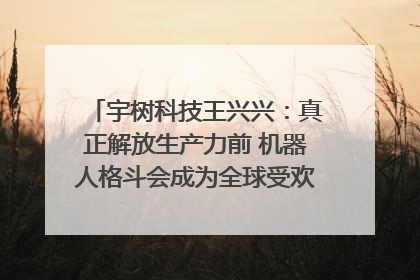 宇树科技王兴兴：真正解放生产力前 机器人格斗会成为全球受欢迎的赛事｜科技观察