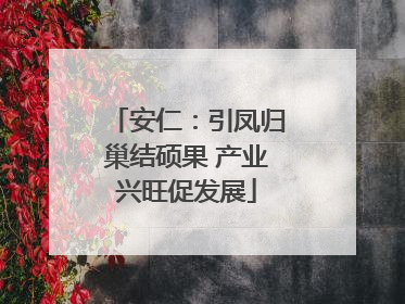 安仁：引凤归巢结硕果 产业兴旺促发展
