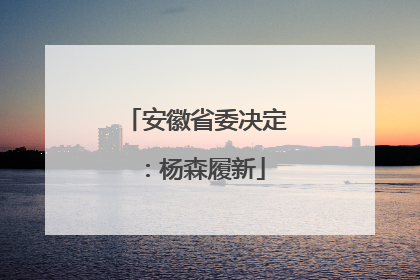 安徽省委决定：杨森履新