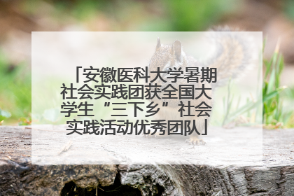 安徽医科大学暑期社会实践团获全国大学生“三下乡”社会实践活动优秀团队