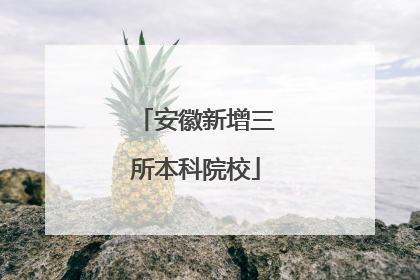 安徽新增三所本科院校