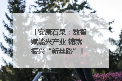 安康石泉：数智赋能兴产业 铺就振兴“新丝路”