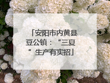 安阳市内黄县豆公镇：“三夏”生产有实招