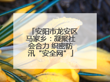 安阳市龙安区马家乡：凝聚社会合力 织密防汛“安全网”