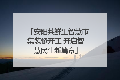 安阳菜鲜生智慧市集装修开工 开启智慧民生新篇章