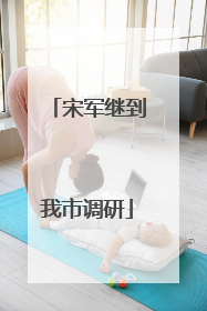 宋军继到我市调研