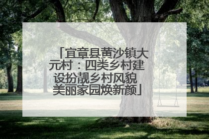 宜章县黄沙镇大元村：四类乡村建设扮靓乡村风貌 美丽家园焕新颜