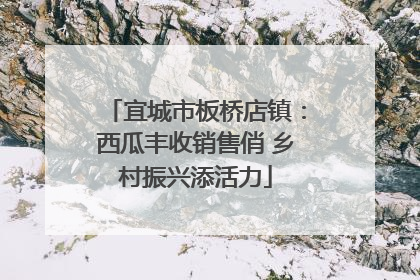 宜城市板桥店镇：西瓜丰收销售俏 乡村振兴添活力