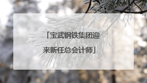 宝武钢铁集团迎来新任总会计师