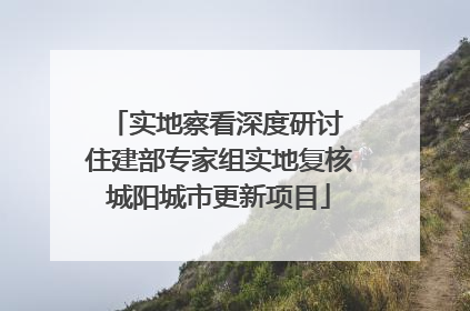 实地察看深度研讨 住建部专家组实地复核城阳城市更新项目