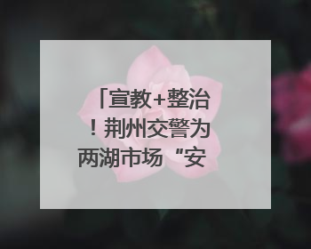宣教+整治！荆州交警为两湖市场“安全护航”