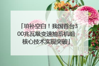 填补空白！我国首台300兆瓦级变速抽蓄机组核心技术实现突破