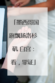 墨西哥国旗飘扬洛杉矶 白宫：看，罪证