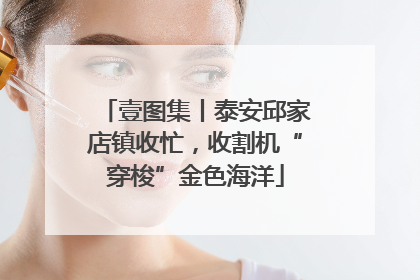 壹图集丨泰安邱家店镇收忙，收割机“穿梭”金色海洋