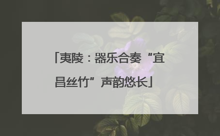 夷陵：器乐合奏“宜昌丝竹”声韵悠长