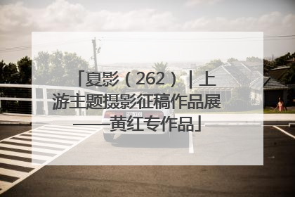 夏影（262）｜上游主题摄影征稿作品展——黄红专作品
