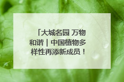 大城名园 万物和谐｜中国植物多样性再添新成员！它只在西藏墨脱