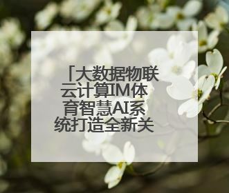 大数据物联云计算IM体育智慧AI系统打造全新关键驱动力