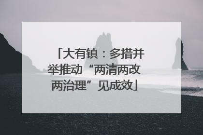 大有镇：多措并举推动“两清两改两治理”见成效