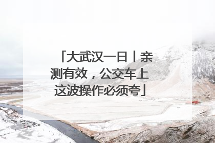 大武汉一日丨亲测有效，公交车上这波操作必须夸