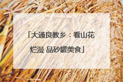 大通良教乡：看山花烂漫 品砂罐美食