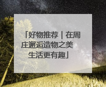 好物推荐｜在周庄邂逅造物之美 生活更有趣