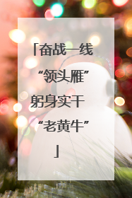 奋战一线“领头雁” 躬身实干“老黄牛”