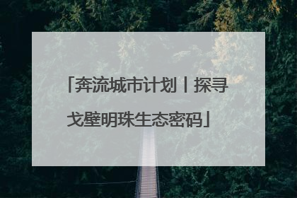 奔流城市计划丨探寻戈壁明珠生态密码
