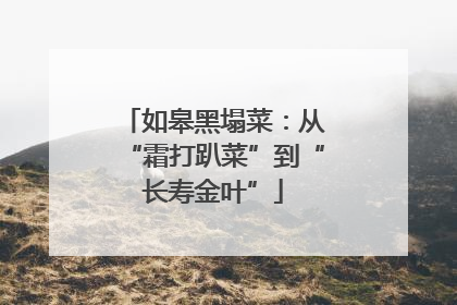 如皋黑塌菜：从“霜打趴菜”到“长寿金叶”