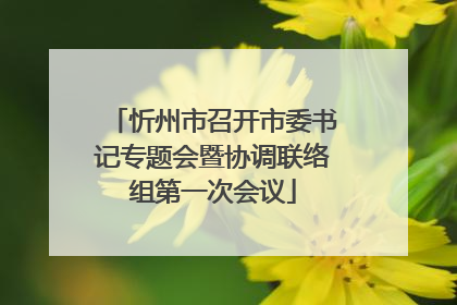 忻州市召开市委书记专题会暨协调联络组第一次会议