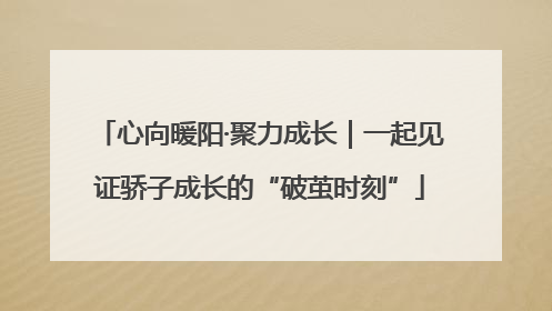 心向暖阳·聚力成长｜一起见证骄子成长的“破茧时刻”