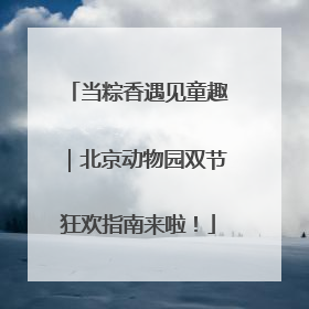 当粽香遇见童趣｜北京动物园双节狂欢指南来啦！