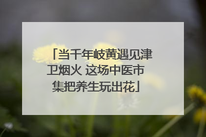 当千年岐黄遇见津卫烟火 这场中医市集把养生玩出花